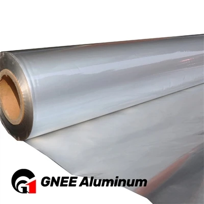 Sự trỗi dậy của hộp đựng thực phẩm bằng giấy bạc nhôm